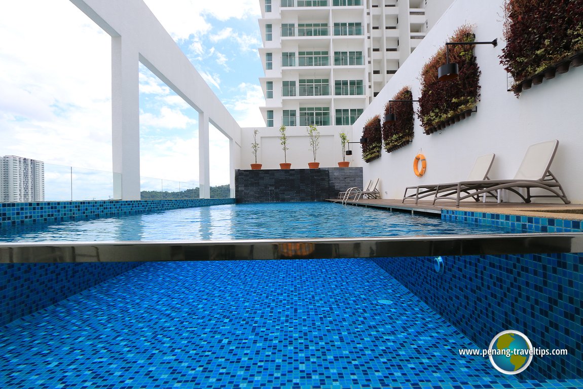 olive tree hotel swimming pool